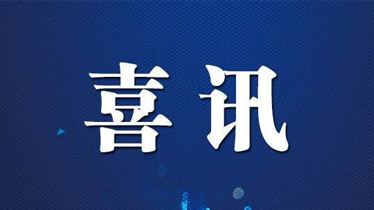 盈和瑞环境荣获2019年度中国可再生能源学会科学技术一等奖
